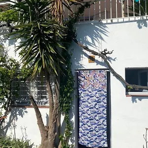 Estudio Boho-chic Nuevo Bien Ubicado Cadaqués